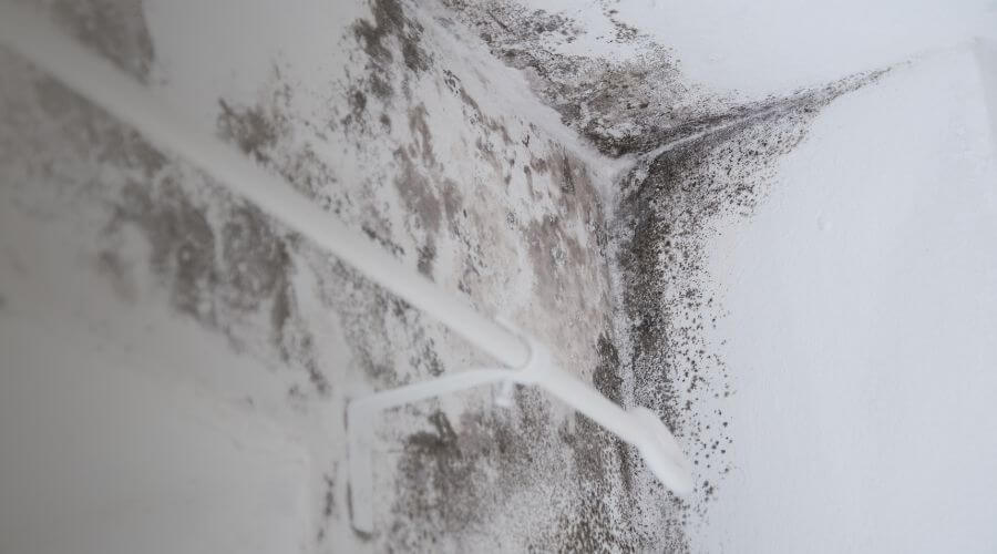 Why choose water damage restoration service for commercial water damage restoration in New York